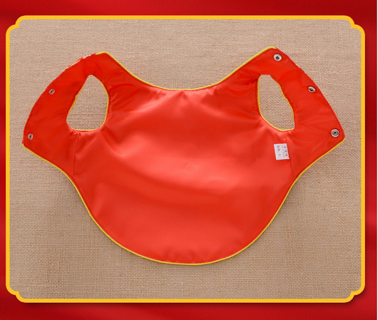 Abrigo Chino Térmico para Perros - Diseño Tang Clásico - Image 11
