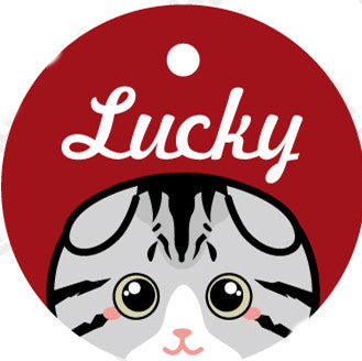Placa de Identidad Personalizada para Mascotas - Image 5