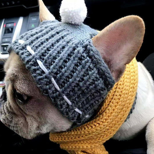 Gorro de Lana Divertido para Mascotas - Abrigo Cálido para Invierno - Image 4