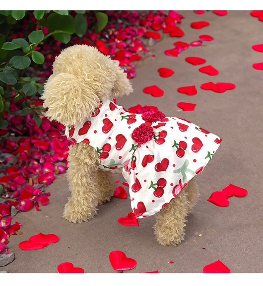 Falda Estampada con Perros y Gatos - Diseño Adorable para Mascotas - Image 11