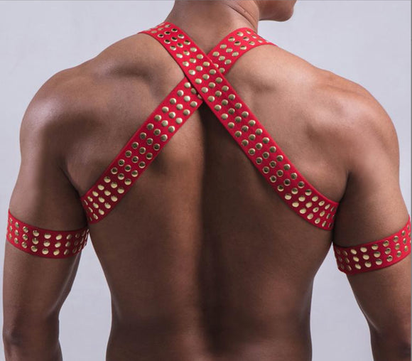 Conjunto de Arnés Pectoral Premium