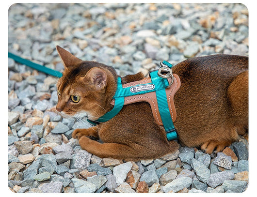 Arnés de Tracción en I para Gatos - Chaleco Pectoral y Dorsal - Image 14