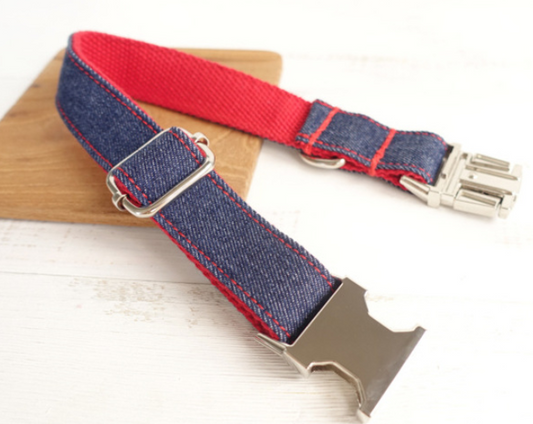 Collar para Perro con Diseño Creativo y Duradero - Image 2