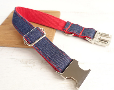 Collar para Perro con Diseño Creativo y Duradero - Image 2