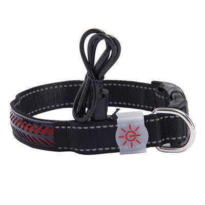 Collar LED Luminoso para Mascotas - Image 20