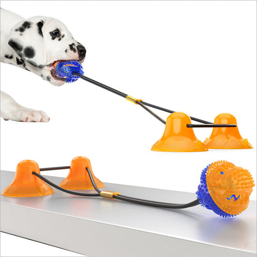 Juguete Mordedor Doble con Cuerdas y Pelotas Ventosas para Perros - Image 10
