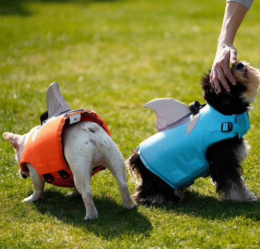 Chaleco Salvavidas para Perros con Aleta de Tiburón - Traje de Baño Deportivo - Image 2