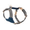 blue Chest straps
