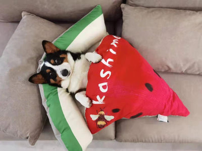 Nido de Pizza para Gatos y Perros - Cama Cuatro Estaciones