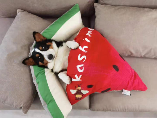 Nido de Pizza para Gatos y Perros - Cama Cuatro Estaciones