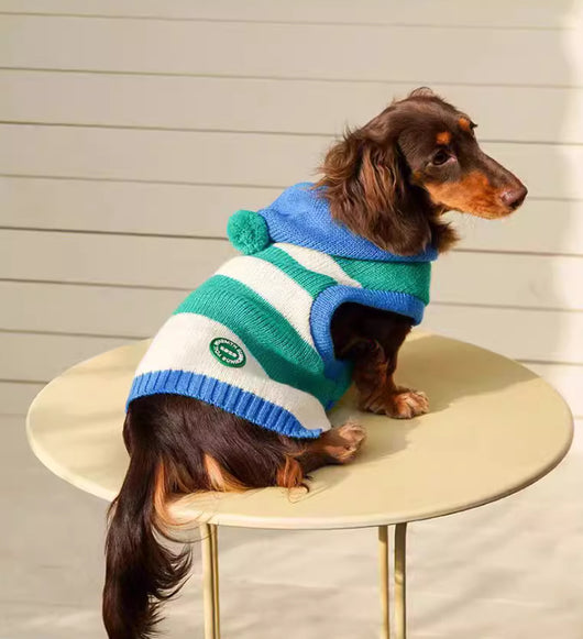 Abrigo Tejido con Capucha a Rayas para Mascotas - Image 9