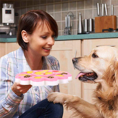 Comedero Elevado para Perros - Image 12