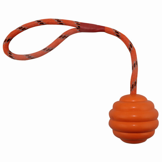 Juguete Interactivo para Perros con Cuerda Nudos y Pelota Multicolor - Image 4
