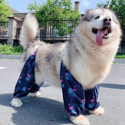 Impermeable Ajustable para Perros de Cuatro Patas - Image 17