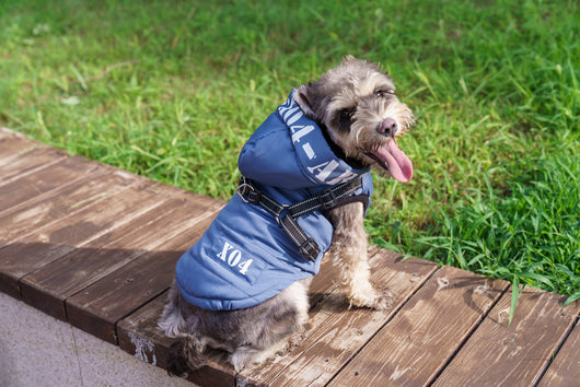Abrigo Impermeable para Perros con Forro Polar y Capucha - Image 16