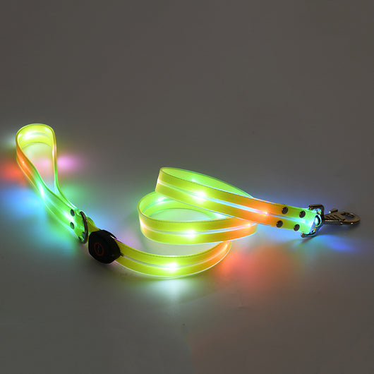 Collar LED Recargable para Mascotas con Correa de Seguridad - Image 5