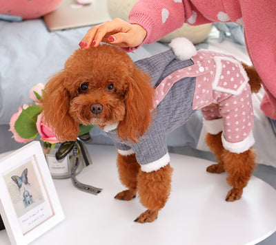 Abrigo Térmico para Cachorros Pequeños - Ropa de Invierno y Otoño - Image 19