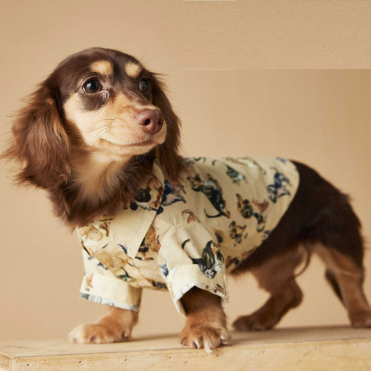 Playera Estampada con Razas de Perros - Dachshund, Schnauzer, Bichón y Maltés