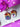 Pound Pups Earrings - Tekeno