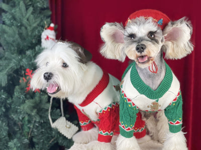 Suéter Navideño para Perros en Lana Premium - Image 8