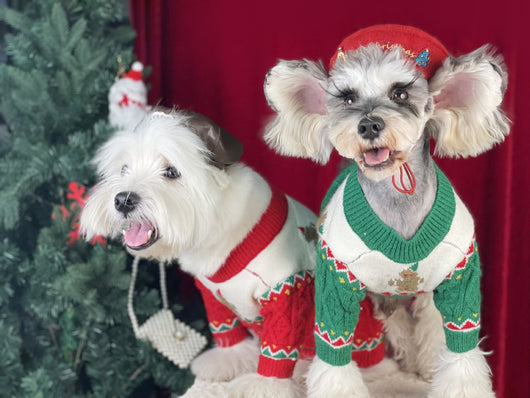 Suéter Navideño para Perros en Lana Premium - Image 8
