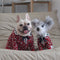 Suéter Abrigador para Perros - Ropa Cálida y Cómoda