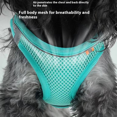 Small light brown poodle wearing an orange mesh dog vest harness with reflective trim and a retractable leash. - Image 35
