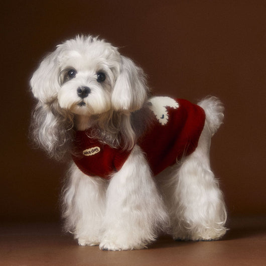 Chaleco Térmico sin Mangas para Perros Schnauzer, Bichón y Razas Pequeñas - Image 5