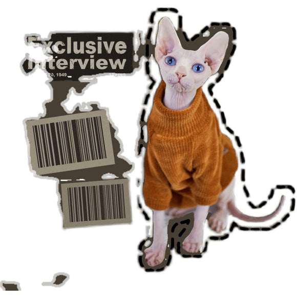 Ropa para Gatos Esfinge Neil Rong - Abrigos Térmicos Especializados