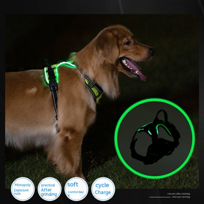 Chaleco LED Luminoso para Paseos Nocturnos de Mascotas con Destello Ajustable