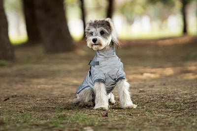Impermeable para Perros Pequeños y Medianos con Arnés Integrado - Image 14