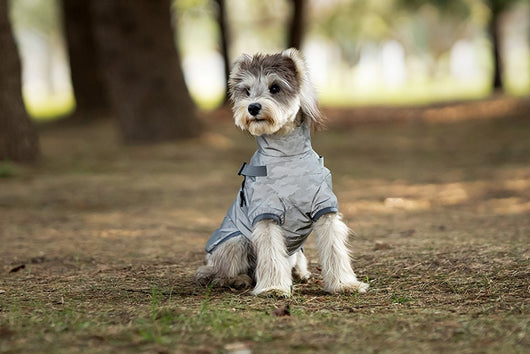 Impermeable para Perros Pequeños y Medianos con Arnés Integrado - Image 14