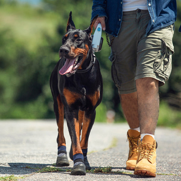 Zapatillas Deportivas Outdoor para Mascotas con Suela Antideslizante Biomimética