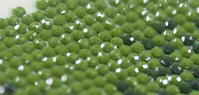 Pintura de Diamantes Mariquita Infantil - Image 31