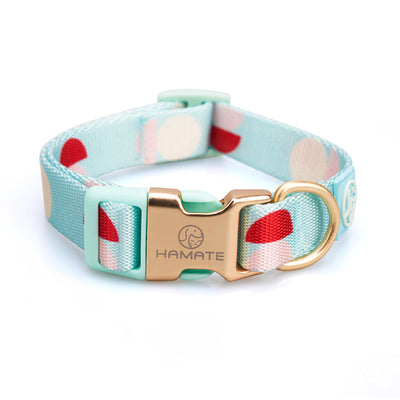 Arnés Pectoral en Y para Perro - Correa de Mascotas Fashion - Image 34
