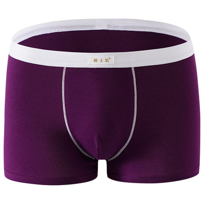 Shorts de Algodón Talla Grande Cómodos y Sensuales - Image 5