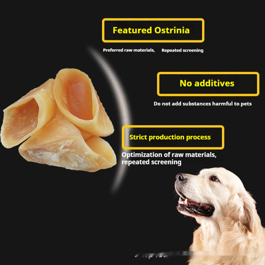 Palo Masticable Anti-Mordida para Perros - Image 6