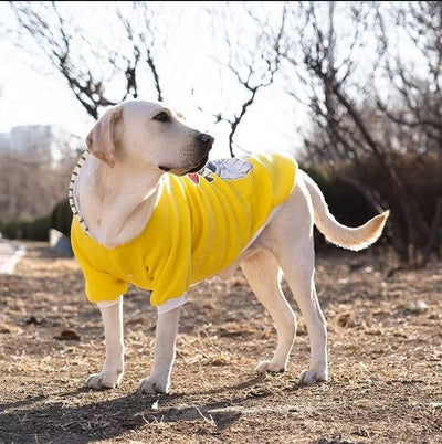 Sudadera Térmica para Perros Medianos y Grandes - Image 21