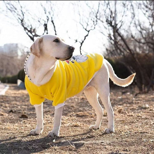 Sudadera Térmica para Perros Medianos y Grandes - Image 21