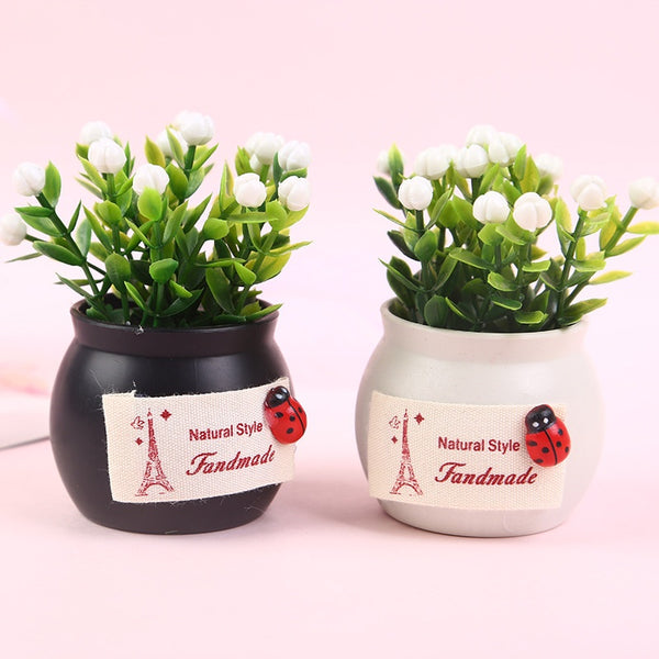 Difusor Aromático para Auto con Planta Ornamental de Fortuna