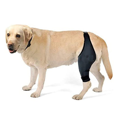 Protector de Fractura para Patas Delanteras y Traseras en Perros - Image 5