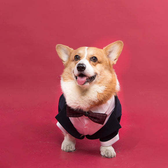 Traje Formal para Perro con Diseño de Cola de Golondrina