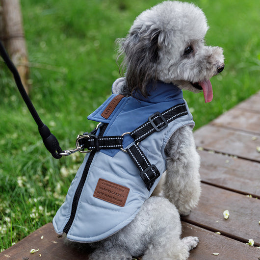 Chaleco Térmico para Mascotas - Abrigo Grueso para Otoño e Invierno