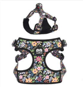 Arnés Pectoral Degradado para Perros Pequeños y Medianos - Image 5