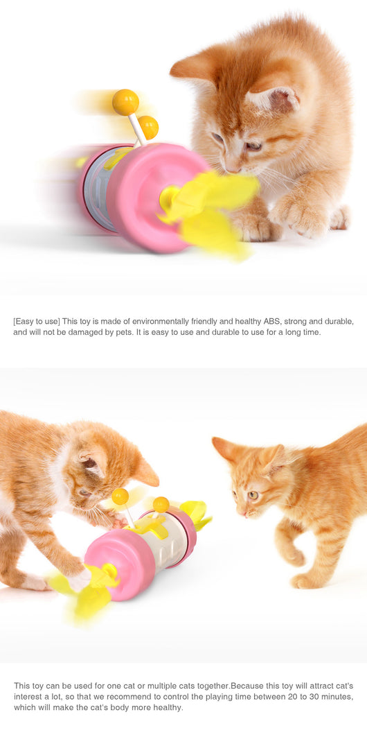 Juguete Interactivo para Gatos con Pluma y Bola Equilibrante - Image 13