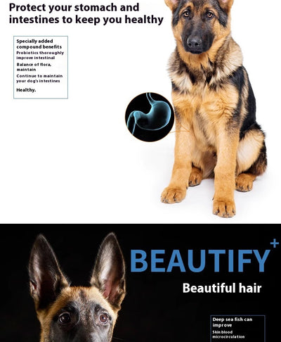 Alimento Militar para Perros de Entrenamiento - Fortalecedor Óseo y Muscular - Image 15
