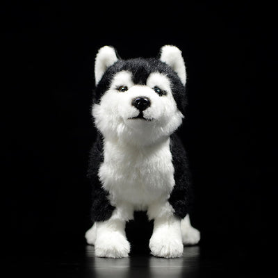 Peluche Husky Realista con Ojos de Pato Mandarín - Image 7