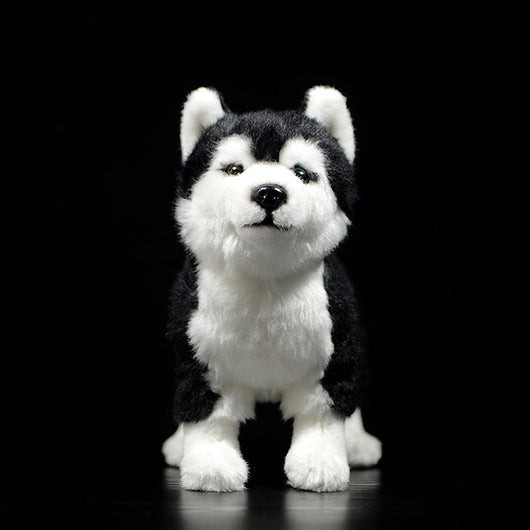 Peluche Husky Realista con Ojos de Pato Mandarín - Image 7