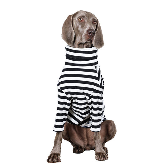 Ropa para Perros Grandes - Chaleco Delgado Transpirable - Image 12