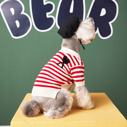 Suéter Cardigan a Rayas para Perros Pequeños - Image 8